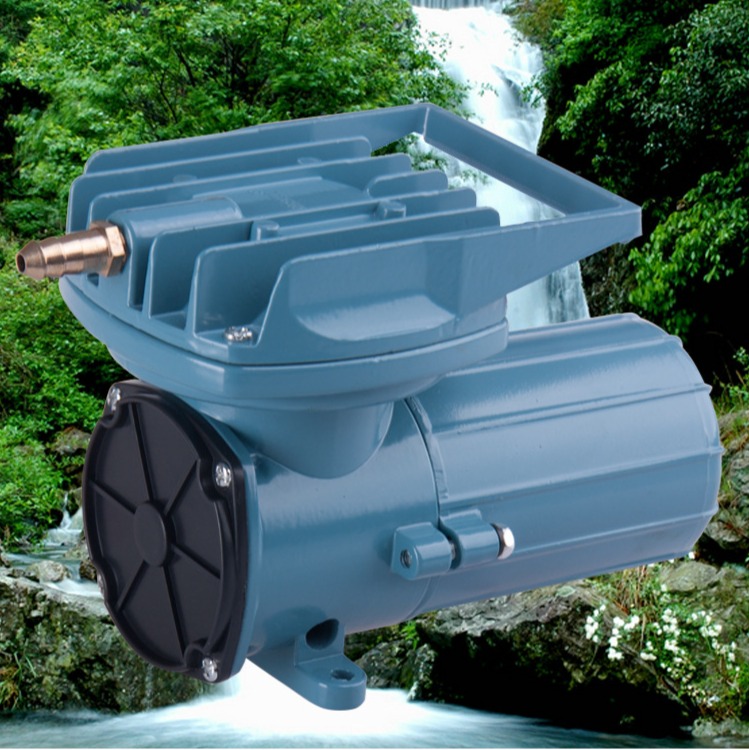 Portable Piston Air Pump — 12V/24V, Up to 16 Outlets (MPQ)